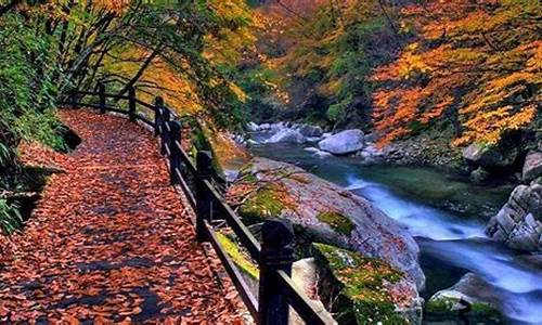 光雾山风景区海拔多高_光雾山风景区