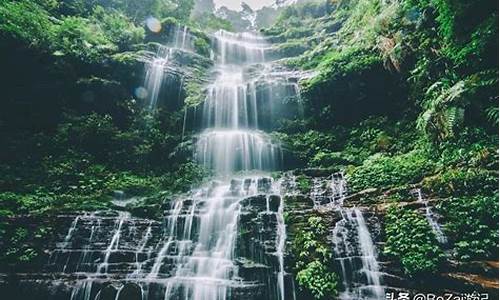 雅安旅游十大必去景点_雅安旅游十大必去景点雅安周公山森林公园