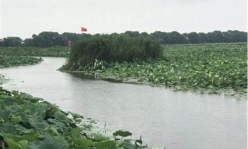 湖北洪湖旅游景点_洪湖旅游景点门票价格