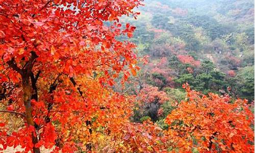 北京香山公园在哪个区_北京香山公园好玩吗?