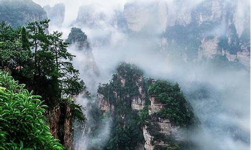 沈阳到张家界旅游攻略一日游_沈阳到张家界6日游