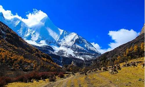 稻城亚丁旅游攻略及景点简介_稻城亚丁旅游景区