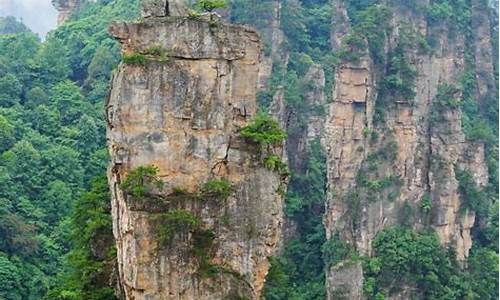 张家界旅游攻略带孩子必去_张家界旅游攻略带孩子必去的地方