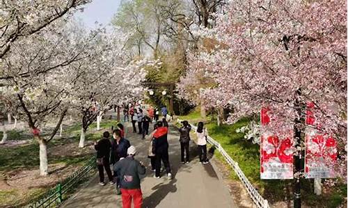 玉渊潭公园樱花节门票价格_玉渊潭公园樱花节门票价格多少