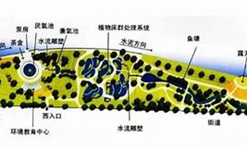 活水公园净水过程_活水公园净水过程视频